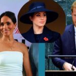 Prince Harry breaks silence on the reason to why he will not take Meghan to the UK.